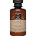 Apivita Dry Dandruff Shampooo 250ml